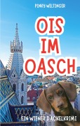 Cover-Bild zum Titel 'Ois im Oasch' von 'Pinky Weltinger'