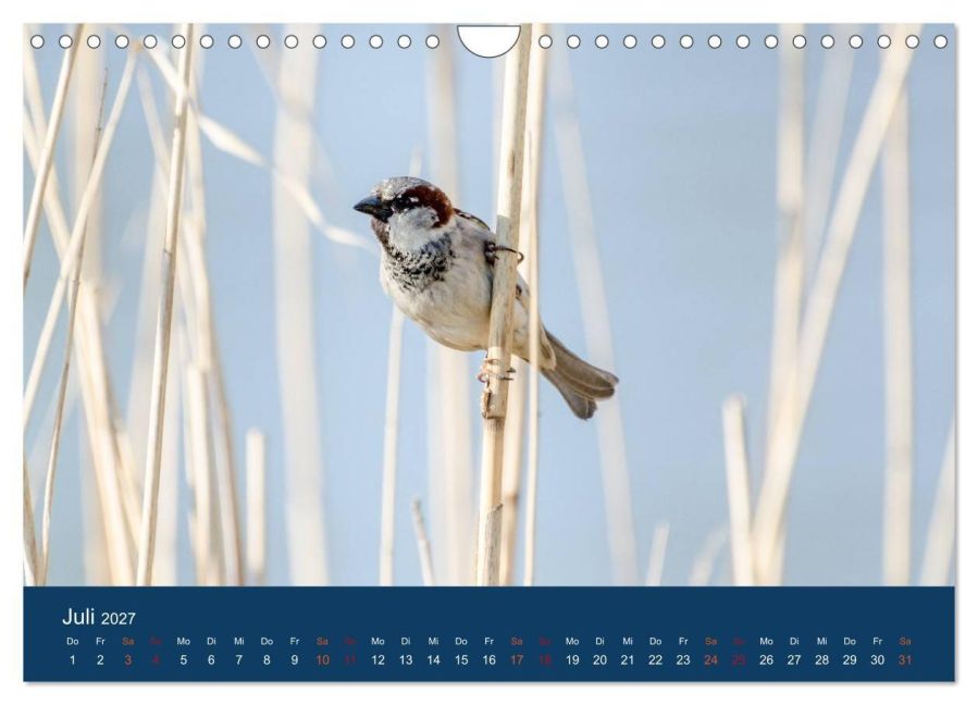 InsideView 12