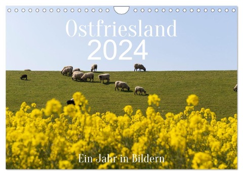 Ostfriesland - Ein Jahr in Bildern (Wandkalender 2024 DIN A4 quer), CALVENDO Monatskalender - Heidi Bollich