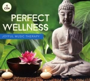 Perfect Wellness-Joyful Music Therapy - Various