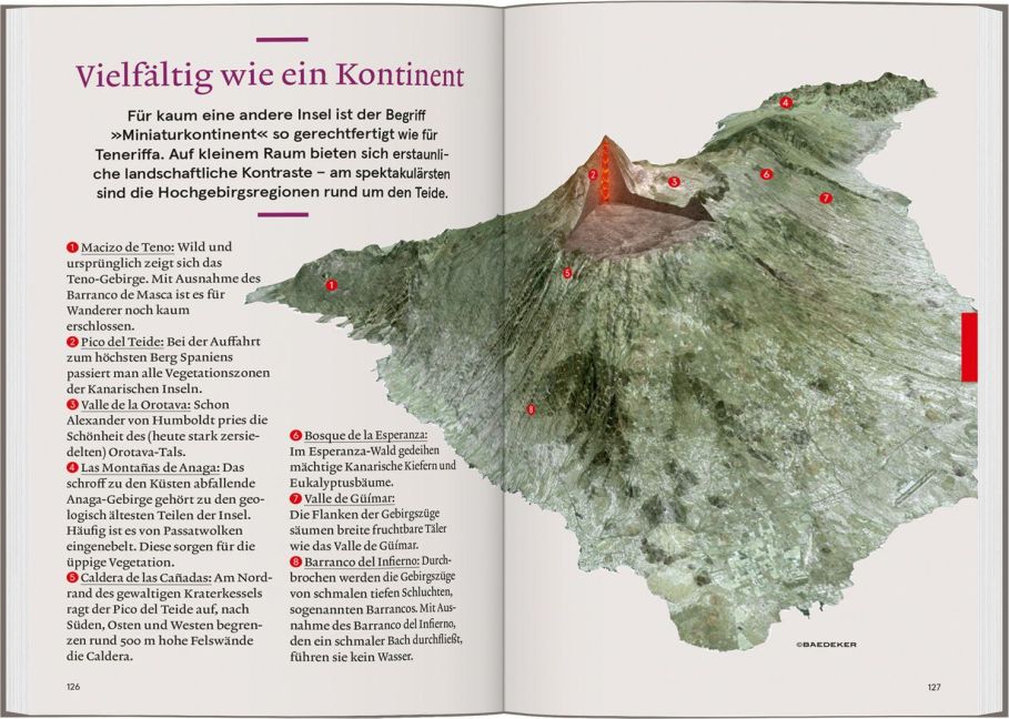 InsideView 6