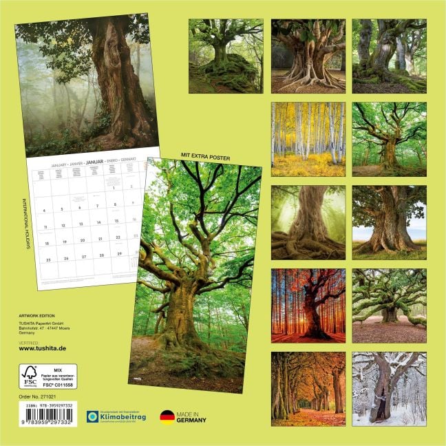 InsideView 13