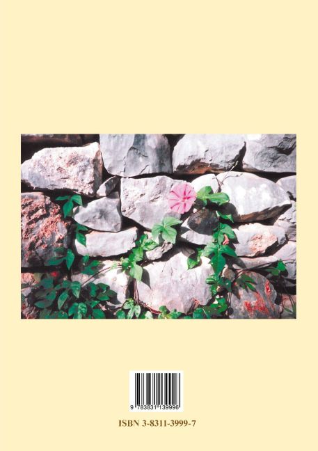 InsideView 1