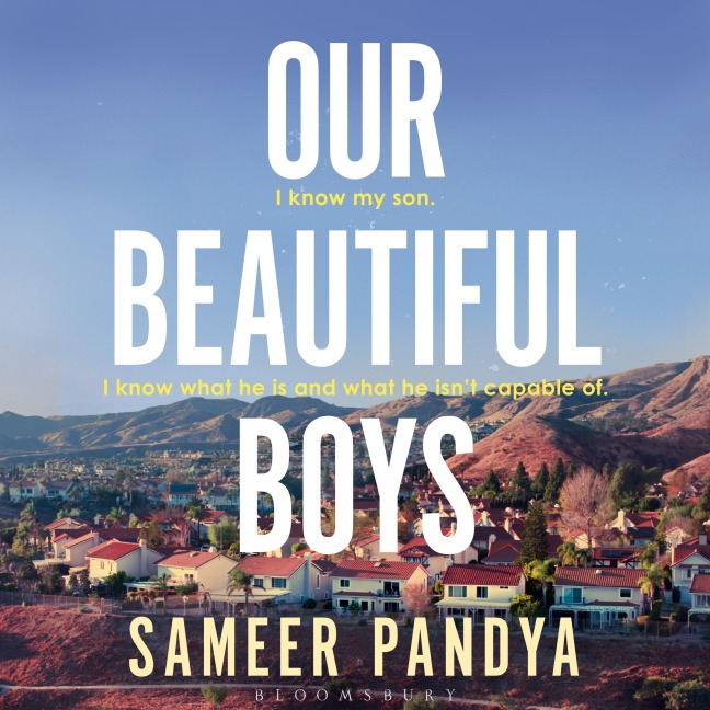Our Beautiful Boys - Sameer Pandya