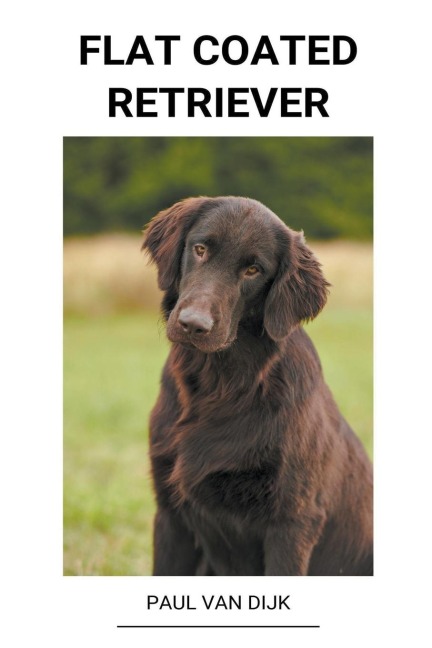 Flat Coated Retriever - Paul van Dijk