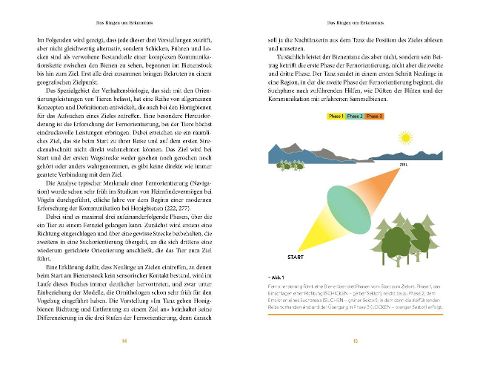 InsideView 11
