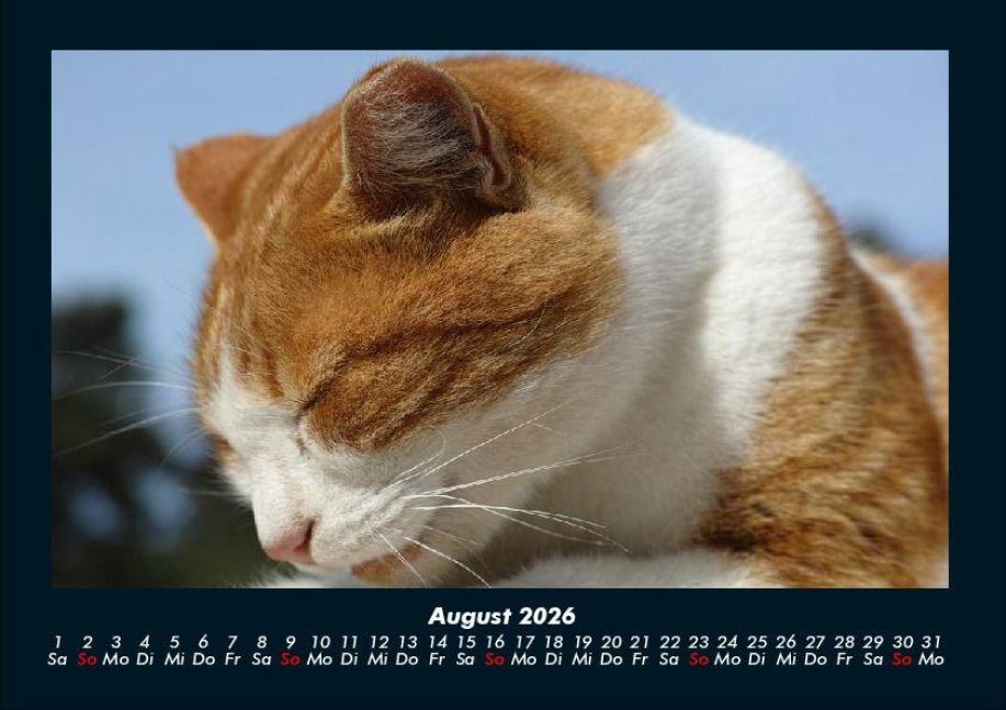 InsideView 12