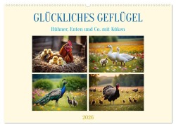 Glückliches Geflügel (Wandkalender 2026 DIN A2 quer), CALVENDO Monatskalender - Claudia Kleemann