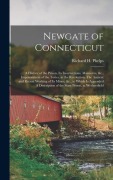 Cover-Bild zum Titel 'Newgate of Connecticut' von 'Richard H Phelps'