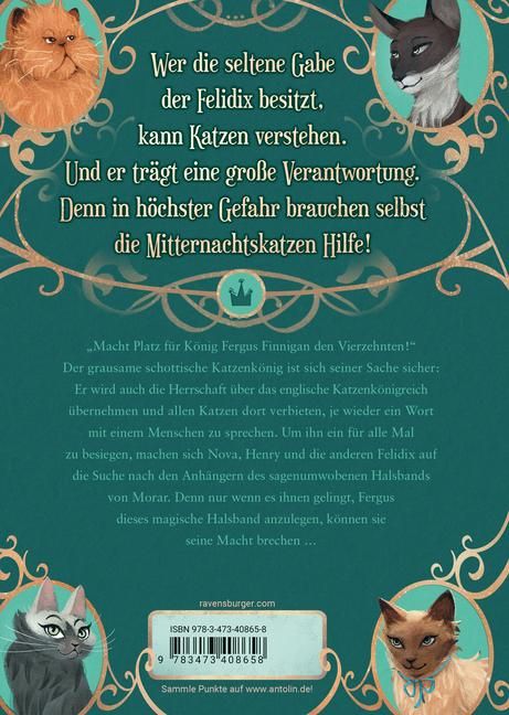 InsideView 1