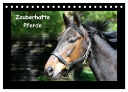 Cover-Bild zum Titel 'Zauberhafte Pferde (Tischkalender 2026 DIN A5 quer), CALVENDO Monatskalender' von 'Christine Daus'