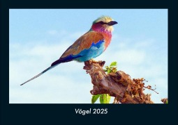 Cover-Bild zum Titel 'Vögel 2025 Fotokalender DIN A4' von 'Tobias Becker'