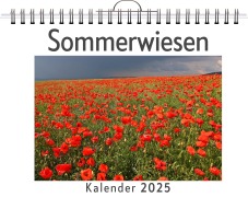 Cover-Bild zum Titel 'Sommerwiesen' von 'Ben Kaiser'