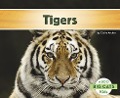 Tigers - Claire Archer
