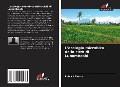 Cover-Bild zum Titel 'L'ecologia microbica della città di Lubumbashi' von 'Patrick Banza'