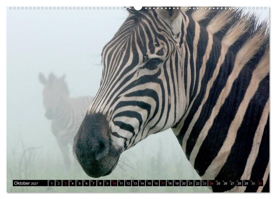 InsideView 2