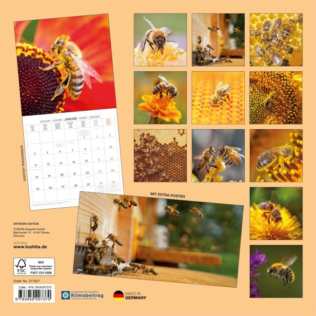 InsideView 13