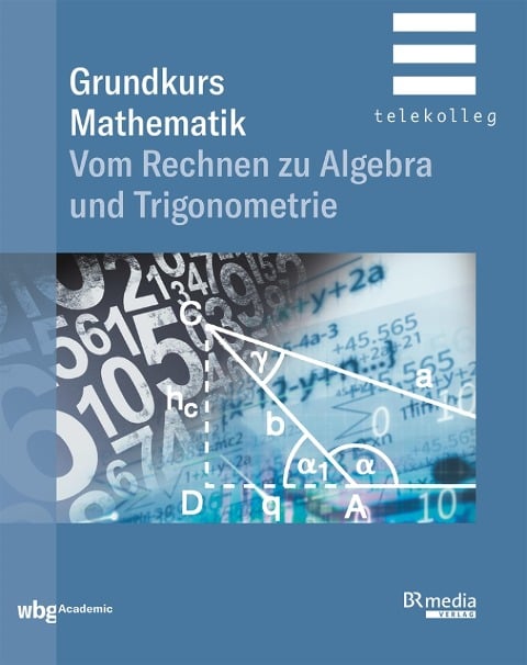 Grundkurs Mathematik - Ferdinand Weber