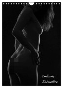 Cover-Bild zum Titel 'Erotische Silhouetten / CH-Version (Wandkalender 2026 DIN A4 hoch), CALVENDO Monatskalender' von 'Ralf Kaiser'