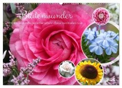 Cover-Bild zum Titel 'Blütenwunder - Mit Blumen durchs ganze Gartenjahr (Wandkalender 2026 DIN A2 quer), CALVENDO Monatskalender' von 'Gisela Kruse'