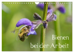 Bienen bei der Arbeit (Wandkalender 2026 DIN A4 quer), CALVENDO Monatskalender - Zlatko Kropf