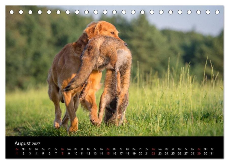 InsideView 13