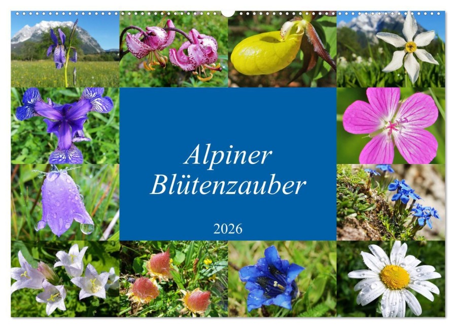 Alpiner Blütenzauber (Wandkalender 2026 DIN A2 quer), CALVENDO Monatskalender - Leo Bucher