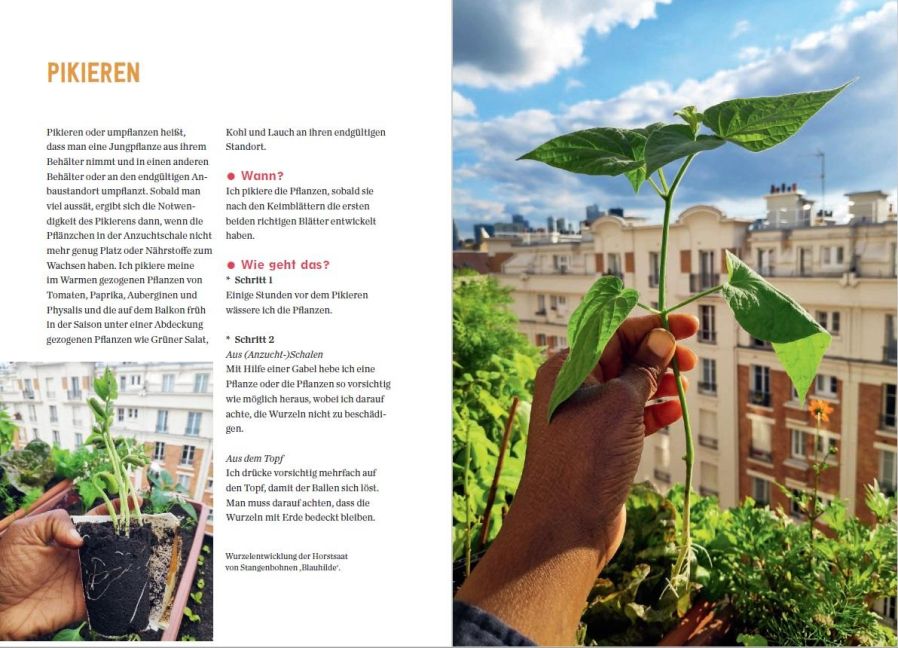 InsideView 3