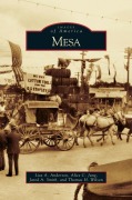 Cover-Bild zum Titel 'Mesa' von 'Lisa A. Anderson, Alice C. Jung, Jared A. Smith'