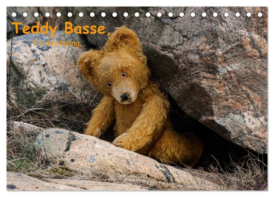 Teddy Basse, Fortsetzung... (Tischkalender 2026 DIN A5 quer), CALVENDO Monatskalender - Dirk Rosin