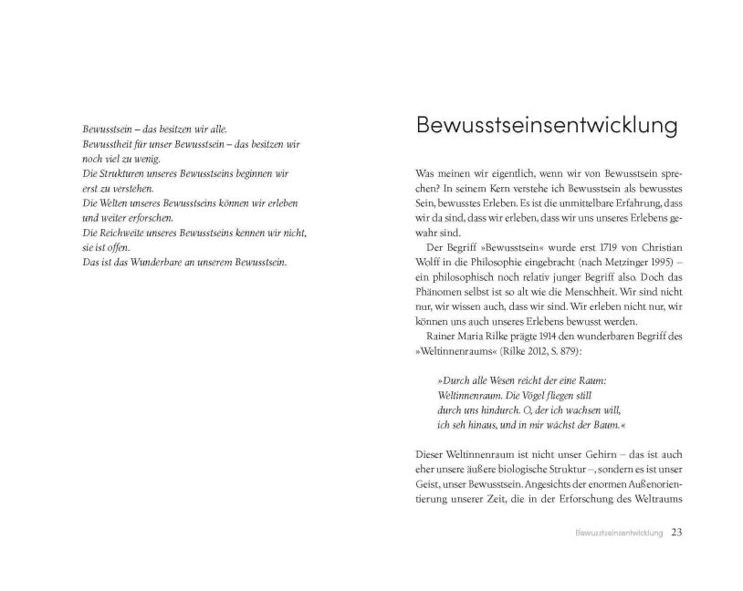 InsideView 5