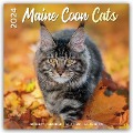 Maine Coon Cats - Main Coon Katzen 2024 - 16-Monatskalender - Plenty Gifts