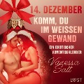 Cover-Bild zum Titel '14. Dezember: Komm, du im weißen Gewand ¿ ein erotischer Adventskalender' von 'Vanessa Salt'