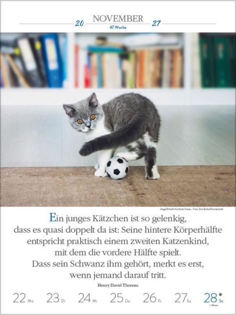 InsideView 13