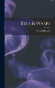 Cover-Bild zum Titel 'Bees & Wasps' von 'Oswald H Latter'