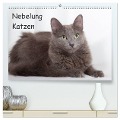 Nebelung Katzen (hochwertiger Premium Wandkalender 2025 DIN A2 quer), Kunstdruck in Hochglanz - Fotodesign Verena Scholze