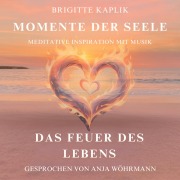 Cover-Bild zum Titel 'Das Feuer des Lebens' von 'Brigitte Kaplik, Chris Lass Publishing'
