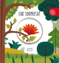 Cover-Bild zum Titel 'Che sorpresa!' von 'Agnese Baruzzi, Gabriele Clima'