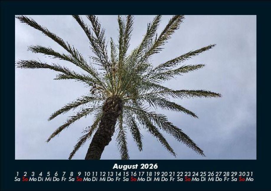 InsideView 12