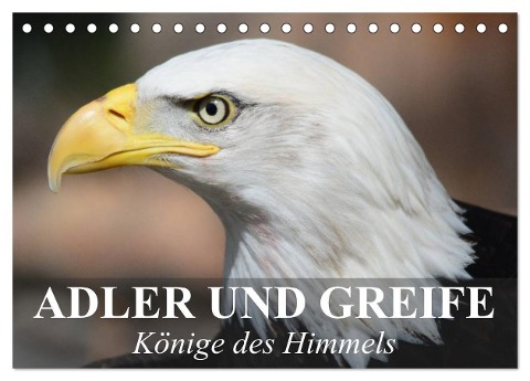 Adler und Greife - Könige des Himmels (Tischkalender 2025 DIN A5 quer), CALVENDO Monatskalender - Elisabeth Stanzer