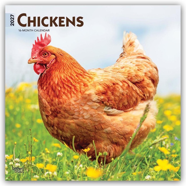 Chickens - Hühner 2027 - 16-Monatskalender - Browntrout Publishers