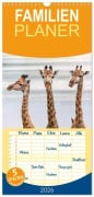 Cover-Bild zum Titel 'Familienplaner 2026 - Afrikas Tierwelt: Giraffen mit 5 Spalten (Wandkalender, 21 x 45 cm) CALVENDO' von 'Michael Voß'