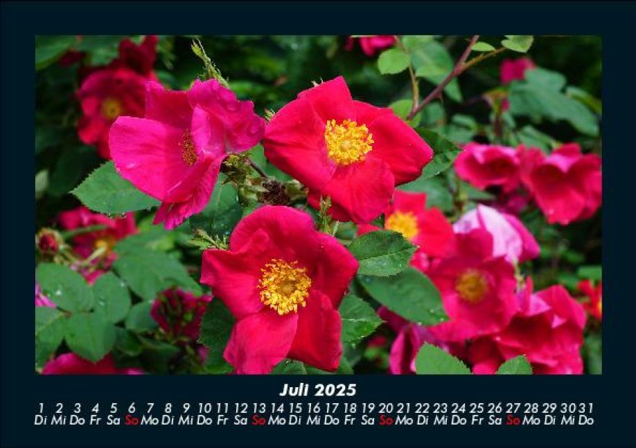 InsideView 11