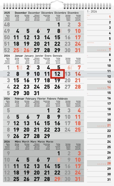 rido/idé 7033430006 | 4-Monatskalender 2026 | grau, 300×490 mm - 