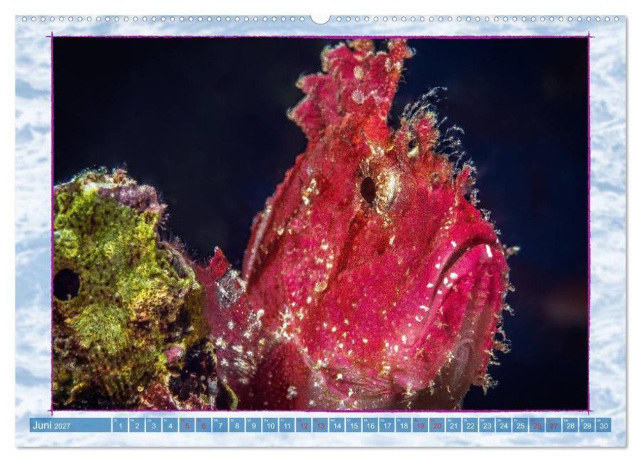 InsideView 11