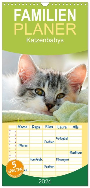 Familienplaner 2026 - Katzenbabys mit 5 Spalten (Wandkalender, 21 x 45 cm) CALVENDO - 