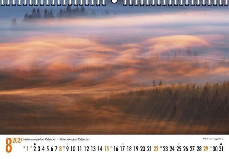 InsideView 8