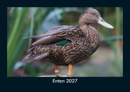 Cover-Bild zum Titel 'Enten 2027 Fotokalender DIN A5' von 'Tobias Schmitt, Kevin Heber'