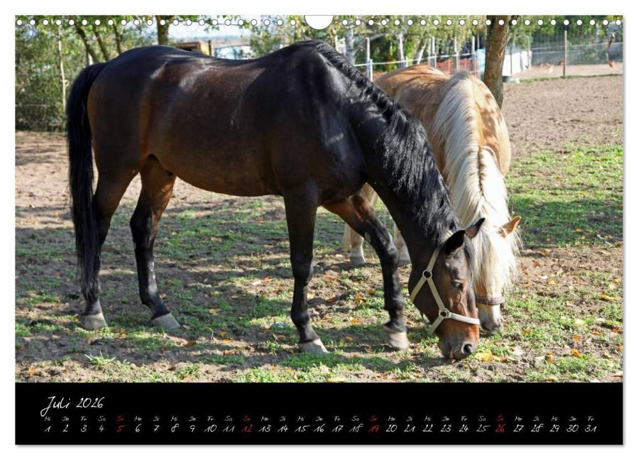 InsideView 12