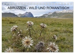 Cover-Bild zum Titel 'Abruzzen - wild und romantisch (Tischkalender 2026 DIN A5 quer), CALVENDO Monatskalender' von 'Monika Koch'